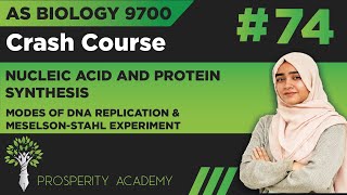 Modes Of DNA Replication  Nucleic Acid and Protein Synthesis  9700 AS Biology UrduHindi [upl. by Nnaecarg56]