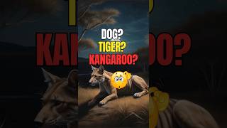 What exactly was the Tasmanian Tiger animals animation shorts 77 [upl. by Misaq]