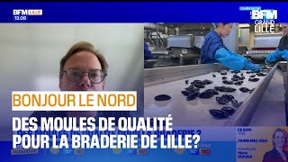 Braderie de Lille la qualité des moules seratelle au rendezvous [upl. by Helsie18]