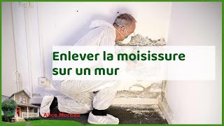 Enlever les moisissures sur les murs et papier peint  astuces et conseils pratiques [upl. by Ralf]