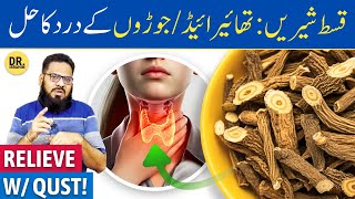 QusteShireen Ke FaydeIstemal  Costus Root Benefits  Dr Ibrahim [upl. by Olimpia893]