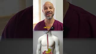 What Is LPR Silent Reflux Laryngopharyngeal Reflux [upl. by Hoxsie]