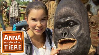 Auf den Spuren der Berggorillas  Reportage für Kinder  Anna und die wilden Tiere [upl. by Brozak]