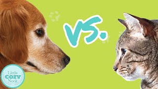 Dogs vs Cats  Which is Better [upl. by Alletsirhc]