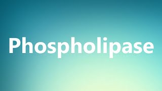 Phospholipase  Medical Definition and Pronunciation [upl. by Akcirret295]