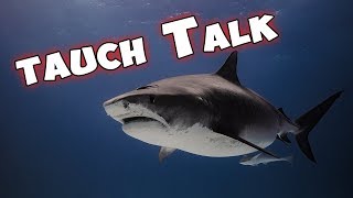 Auf zur Interdive   TauchTalk 53 [upl. by Yekcir]