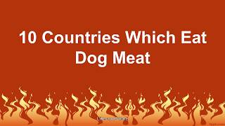 Top 10 Countries Which Eat Dog Meat in the World [upl. by Harat]