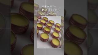 Shea Butter Lip Balm Recipe lipbalm recipe skincare shorts [upl. by Donaghue610]