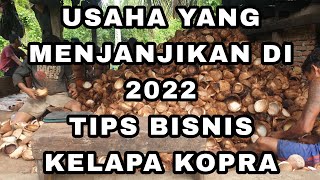 TIPS ATAU CARA PENGOLAHAN BUAH KELAPA MENJADI KOPRA  ASAL USUL MINYAK KELAPA [upl. by Scherman888]