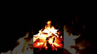 campfire calm campfiresounds naturerelaxation SoothingAmbience FireplaceVibes CalmAndCozy [upl. by Aidyn]