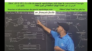 vidėo2 Le rôle du muscle squelettique strié dans la conversion d’énergie2em partie2BACSVTPC [upl. by Cyrill]