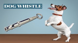 Dog Whistle  Real Sound Experiment [upl. by Asirehc]