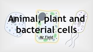 GCSE Biology 01  Animal plant and bacterial cells [upl. by Sidnal]