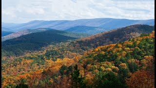 Foliage on Talimena Scenic Drive Way 2020 4K Resolution [upl. by Flora]