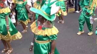 Comité Bibas Martinique Carnaval 2014 Lundi Gras au Lamentin Video [upl. by Emelen]