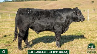 4  BJF PARELLI T31 PP BB AA [upl. by Adalbert]