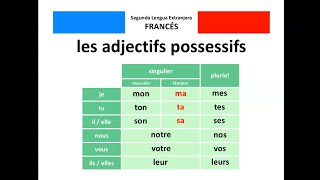 🇫🇷 Les adjectifs possessifs  🇪🇸 Los adjetivos posesivos [upl. by Ahsilrac]