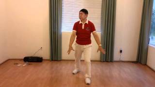 Lin Housheng Shibashi Movement Sample 6 [upl. by Mckenzie597]