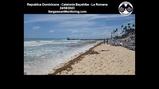 2023 Sargazo  Republica Dominicana  Catalonia Bayahibe  La Romana [upl. by Cassady]