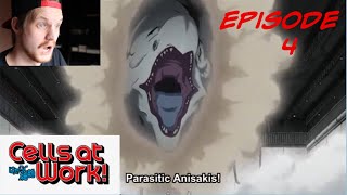 Medical Student Reacts to Cells at Work Episode 4 Food Poisoning  Hataraku Saibou [upl. by Eineg]