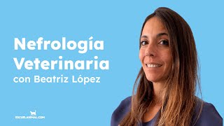 ¿Qué es la Nefrología Veterinaria con Beatriz López [upl. by Iniffit]