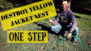 How To Get Rid Of Yellow Jacket  Ground Wasp Nest With ONE STEP [upl. by Cai]