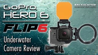 GoPro HERO 6 vs HERO 5 Underwater Camera Test [upl. by Walton]