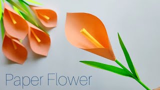 Easy Paper Flower  Paper Tulip Flower  Paper Craft [upl. by Betthezel]