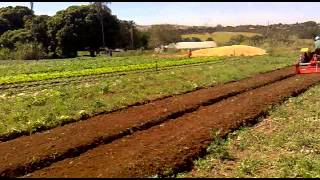 Enxada rotativa encanteiradora RSFE 150 Agritech Lavrale trabalhando [upl. by Creedon]