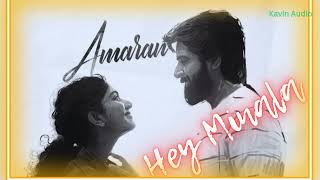 hey Minala Amaran song [upl. by Ahtnamas]