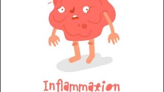 Inflammation 01PATHOLOGY2nd prof mbbs [upl. by Aramal865]