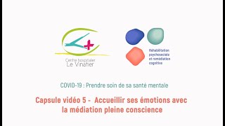 Capsule 5  Accueillir ses émotions avec la méditation pleine conscience [upl. by Eeuqram]