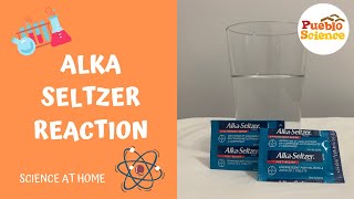 Alka Seltzer Reaction [upl. by Sitruc]