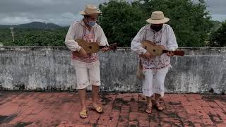 Mejorana Panamá Baile Ocueño Mejorana por 25  Ocú [upl. by Denzil531]