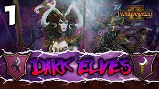 DARK ELVES WILL RULE ALL  Total War Warhammer 2  Dark Elves Coop Campaign w Lionheartx10 1 [upl. by Wurster]