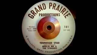 Merlin Bee amp The Stingers Tennessee Stud [upl. by Ak]