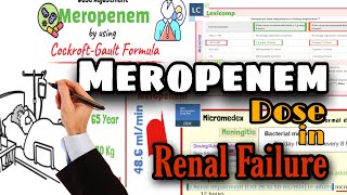 Meropenem Dose adjustment in Renal failure  Pharmacology [upl. by Nettirb102]