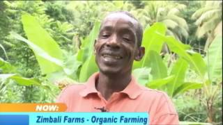 Zimbali Farms  Organic Farming  Smile Jamaica  April 25 2017 [upl. by Kuhlman242]