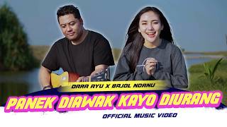 Panek Diawak Kayo Diurang  Dara Ayu X Bajol Ndanu Official Music Video [upl. by Zachary]