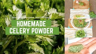 🌿Making Celery Powder Im Dehydrating Celery for DIY SeasoningSpices 🍽️ [upl. by Lynna]