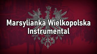 Marsylianka Wielkopolska  Instrumental cover [upl. by Locke714]