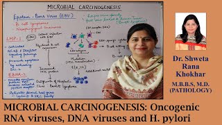 MICROBIAL CARCINOGENESIS Oncogenic RNA viruses DNA viruses and H pylori [upl. by Marcell975]