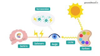 Wie funktioniert das Farbensehen und was ist Farbenblindheit [upl. by Culbert]