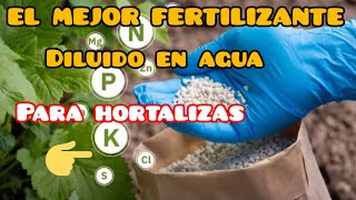 ¡¡Este es el mejor fertilizante¡¡ que podemos hacer para nuestras quotplantasquot y quothortalizasquot🙀👌👍✅️🇲🇽 [upl. by Mahgirb]