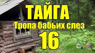 ОТШЕЛЬНИКИ  ЖИЗНЬ В ТАЙГЕ 16 из 16 [upl. by Munsey947]