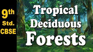 Tropical Deciduous Forests  Class 9  Geography  CBSE Board  Home Revise [upl. by Allehcim398]