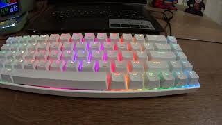 LexonElec STOGA MK14 Mechanical Keyboard Review [upl. by Airun]