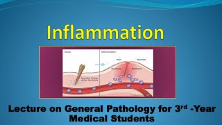 Pathology Inflammation 2 Part 1 [upl. by Airb]