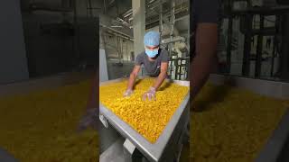 Snaks Making process  snaks food factorymade youtube facts factorymaking chipsmaking [upl. by Ailem108]