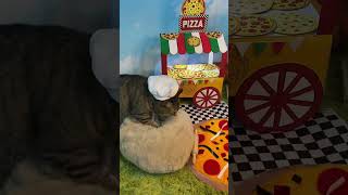 The bread maker is now offering pizzas ￼Pizza Pizzeria Pan YouTube ChefGary Cat [upl. by Kelley]